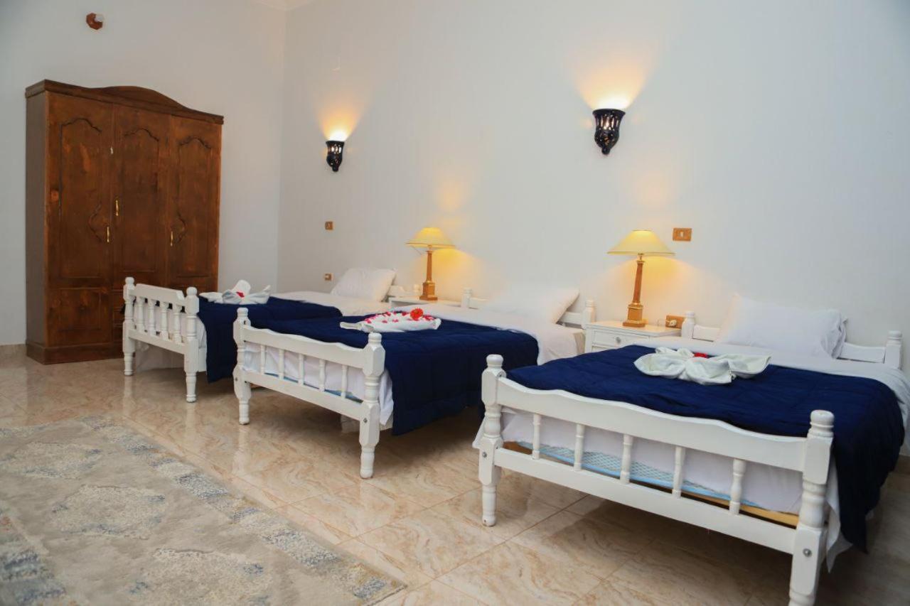 Luxor Oasis Guest House Εξωτερικό φωτογραφία