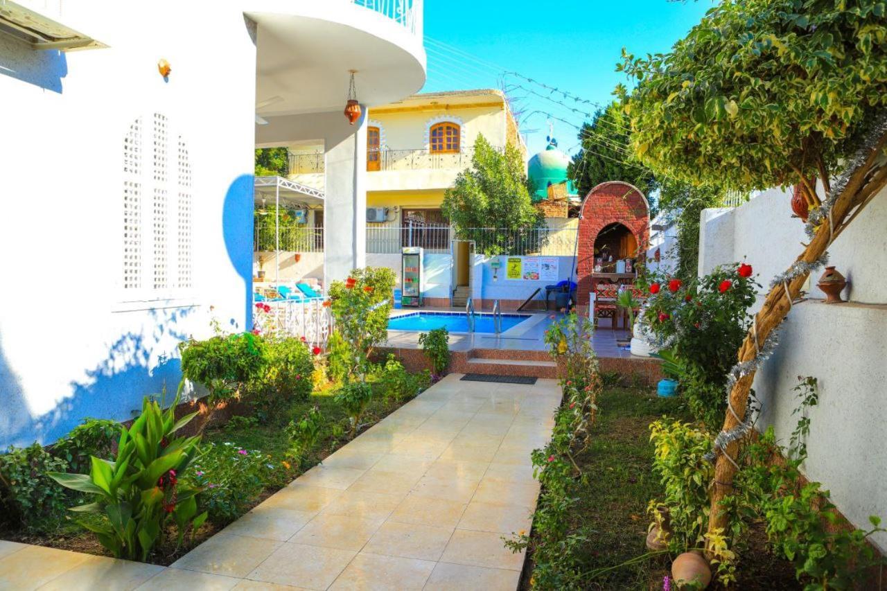 Luxor Oasis Guest House Εξωτερικό φωτογραφία